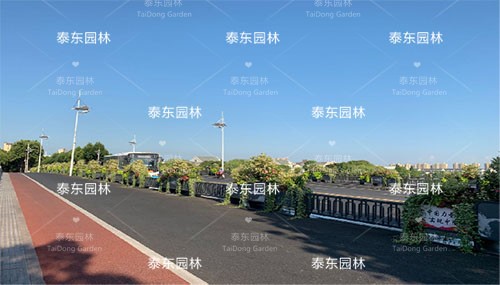 城市護(hù)欄花箱