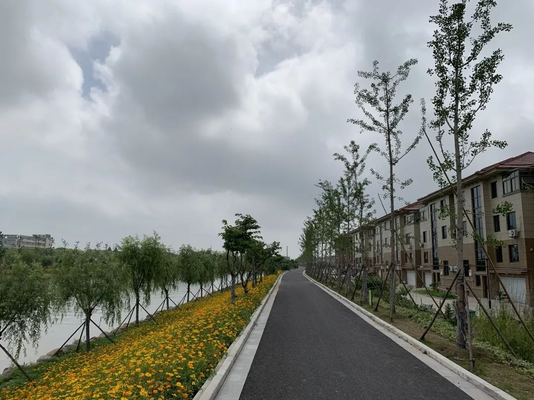 1689124570676923.jpg 花箱